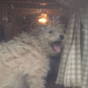 Meet your Posher, Margaret